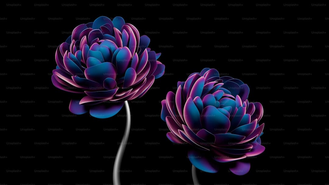 https://static.kpwlw.com/1dbfbde90836a192/3CD4D356CCCF3654D9B60B51BD3753BF.jpg